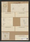 Coscinodiscus excentricus Ehr. (de-Toni-Nr.: Genus 202, Species 4880) Zeichnungen Sammlung Grunow Nr. 8632 (NHMW-BOT-W0378028)